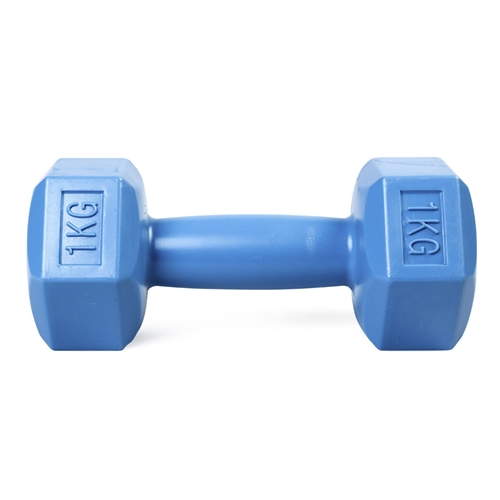 ASG Dumbbell 1 kg