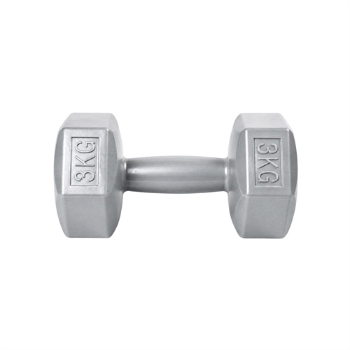 ASG Dumbbell 3 kg