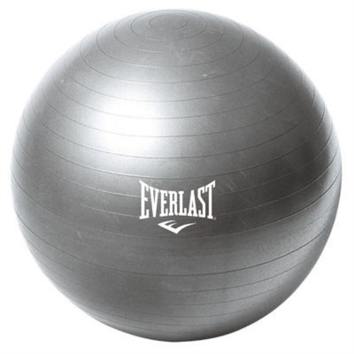 Everlast ABS Treningsball - Ø65 CM
