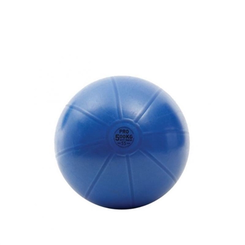 TOORX Antiburst Treningsball - Ø55 cm